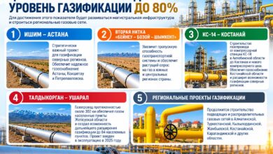 Газификация Казахстана: как довести уровень до 80% через ключевые проекты